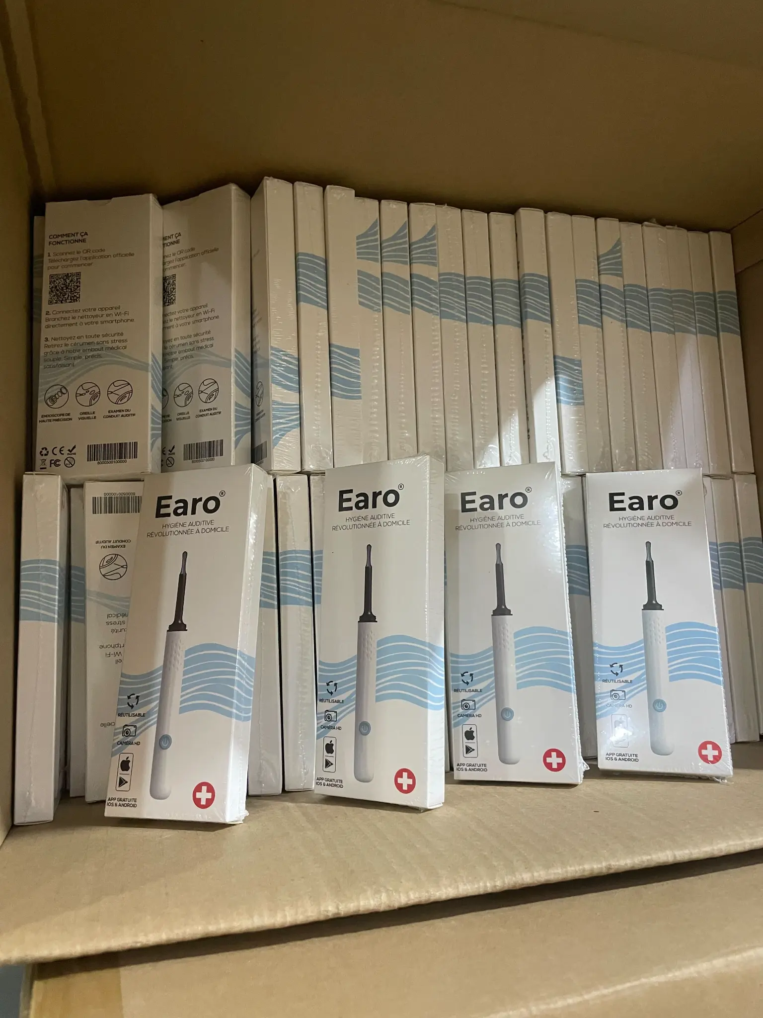 Entrepôt EARO — préparation des commandes